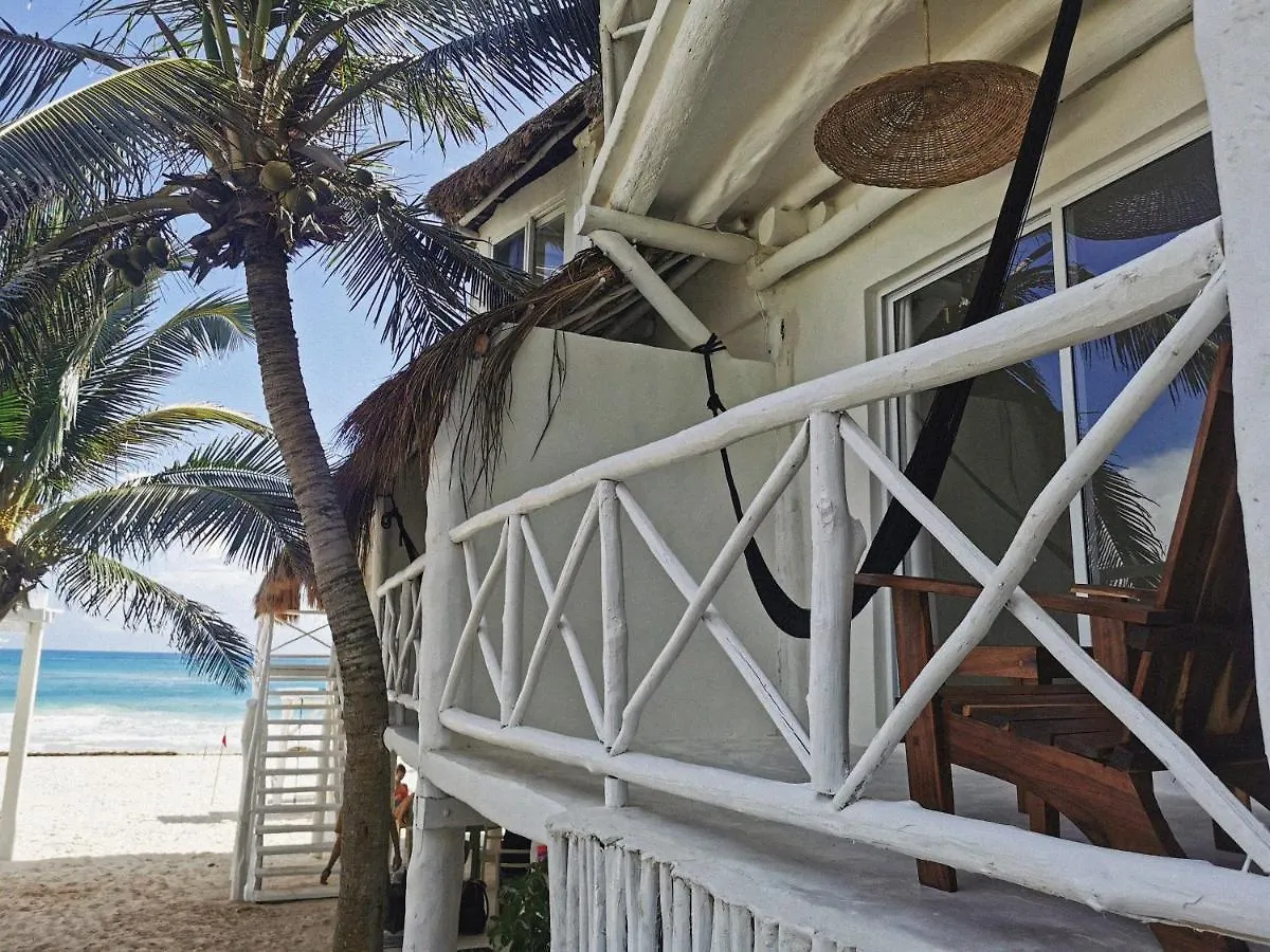 Coco Unlimited Hotel Tulum