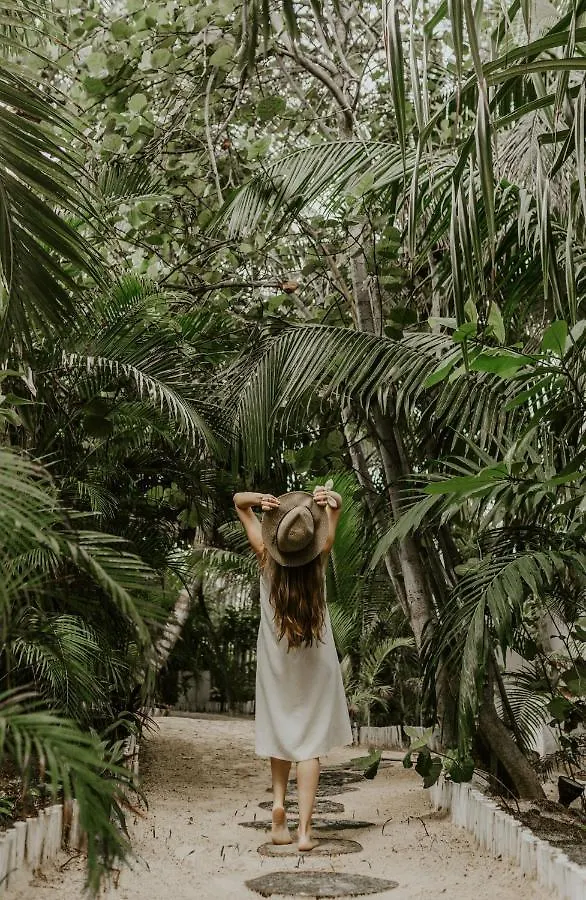 Coco Unlimited Hotel Tulum